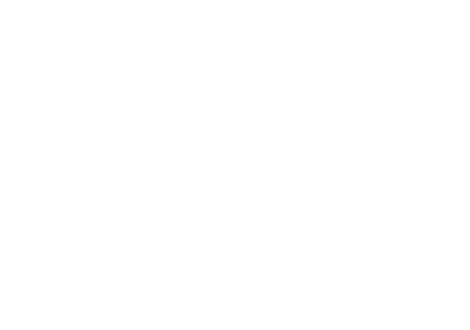 Google Partner