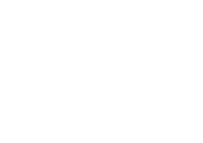 Google Partner